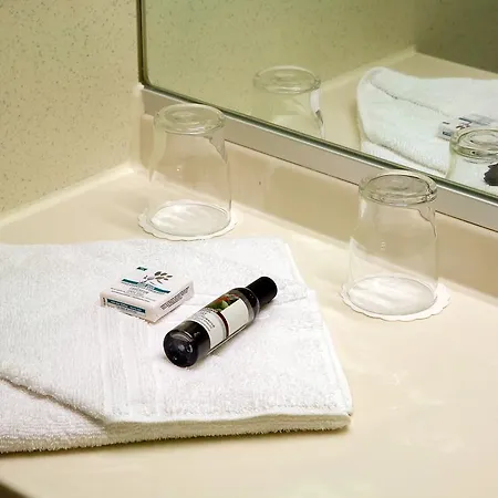 Days Hessenland Kassel